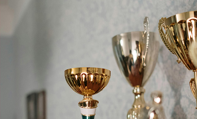 我們的榮譽(yù)